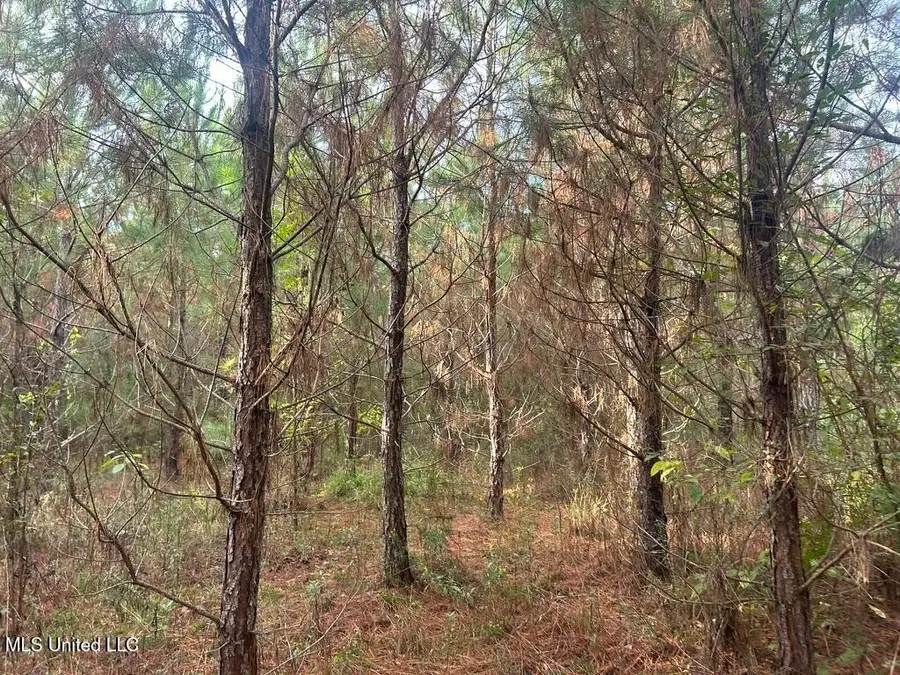 Tbd N River Road, Summit, MS 39666 - Image #3