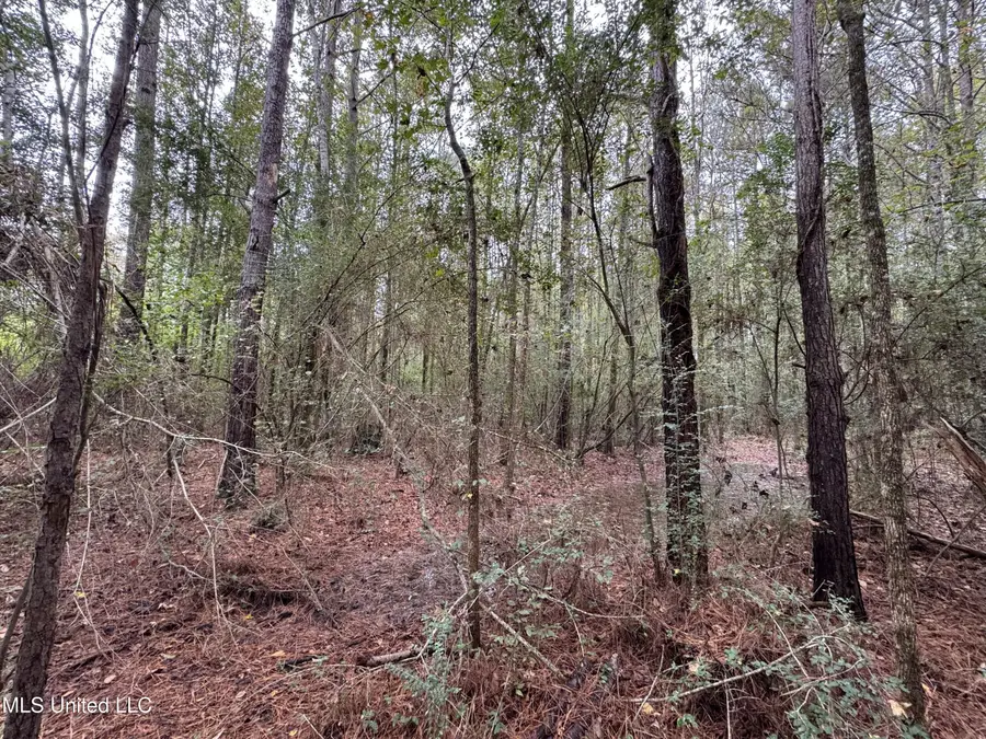 0 Highway 483, Lena, MS 39094 - Image #3