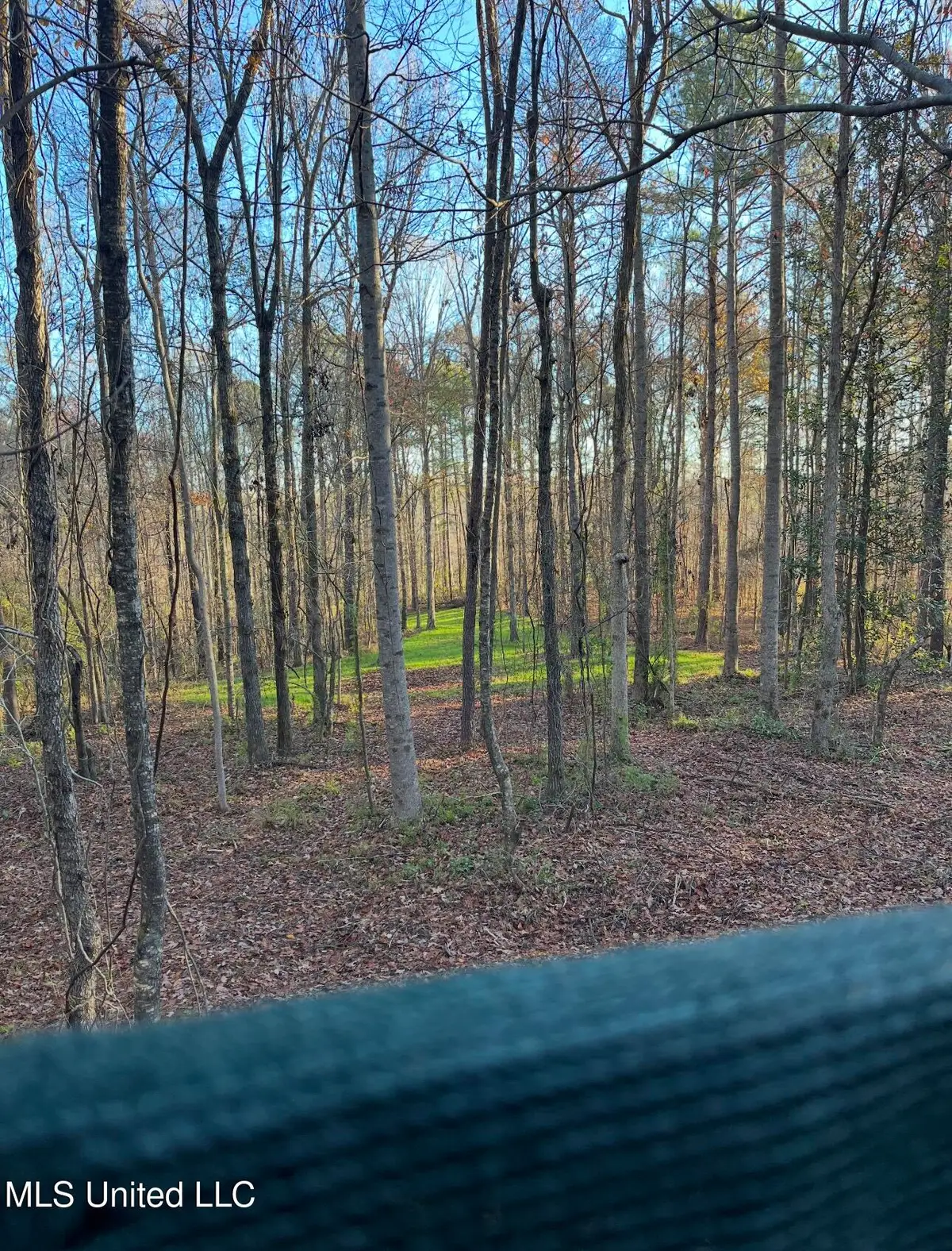 0 E Whitworth Street, Hazlehurst, MS 39083 - Image #1