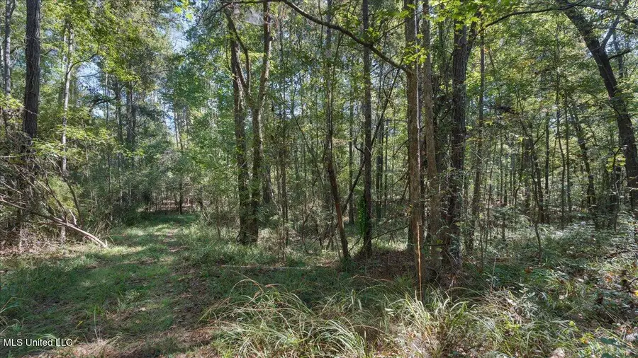 0 E Whitworth Street, Hazlehurst, MS 39083 - Image #2