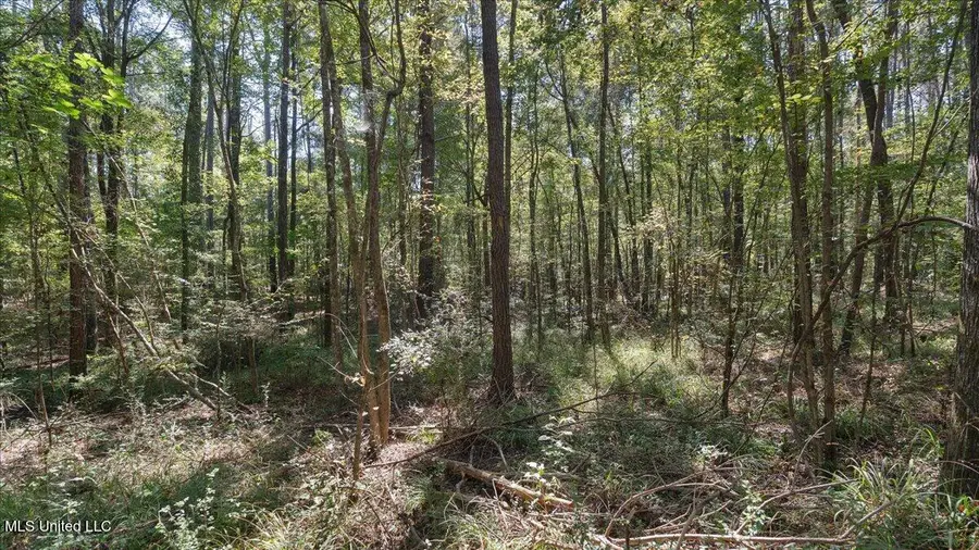 0 E Whitworth Street, Hazlehurst, MS 39083 - Image #3