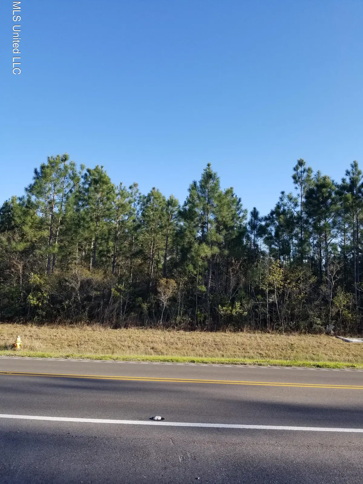 Firestone Road, Ocean Springs, MS 39564 - Image #1