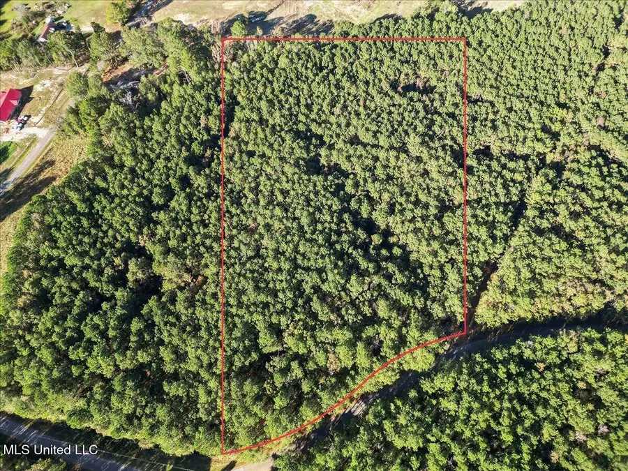 Jimmie Drive, Forest, MS 39074 - Image #2