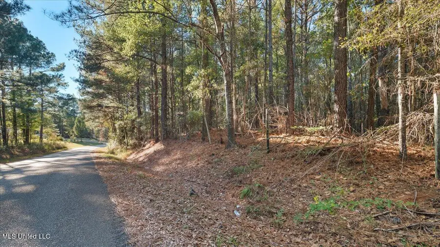 Jimmie Drive, Forest, MS 39074 - Image #3