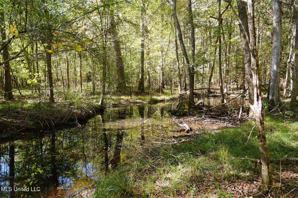 0 SW Jackson Liberty Drive, Smithdale, MS 39664 - Image #1