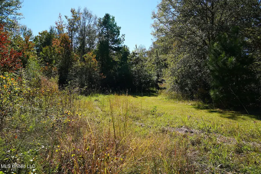 0 SW Jackson Liberty Drive, Smithdale, MS 39664 - Image #3