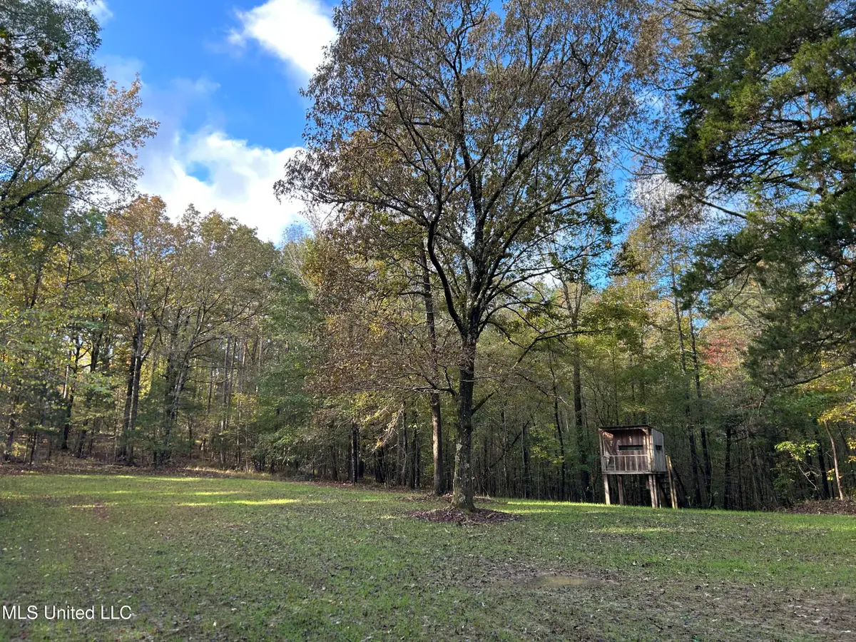 Lafayette Springs Road, Thaxton, MS 38871 - Image #1