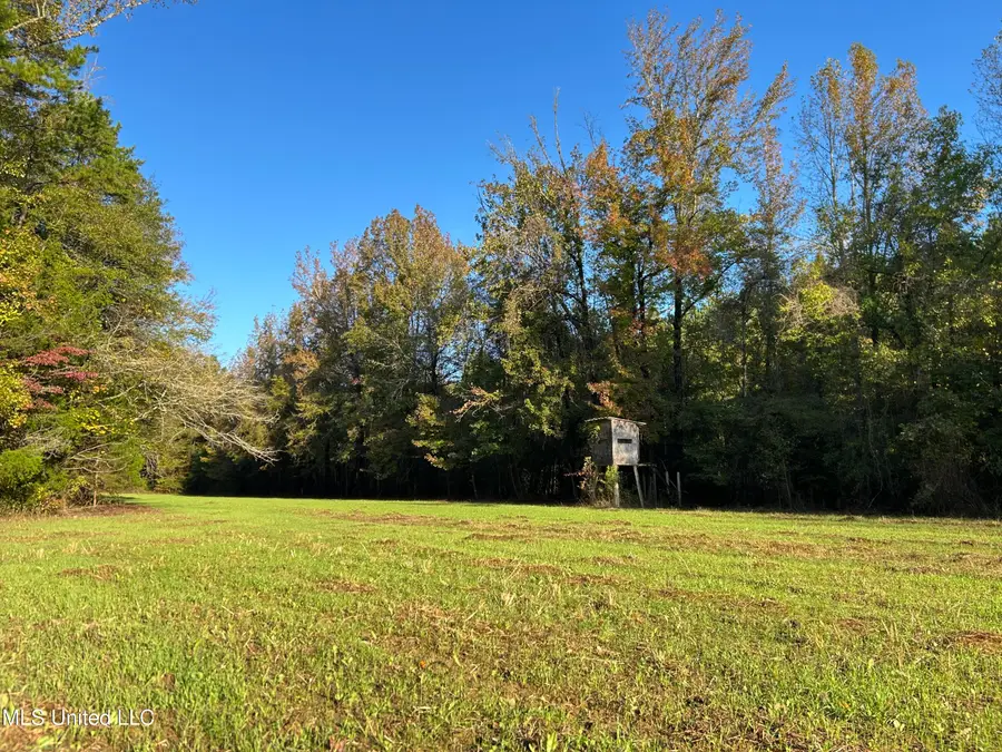 Lafayette Springs Road, Thaxton, MS 38871 - Image #2