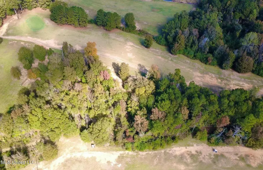 00 Milltowne Drive, Wesson, MS 39191 - #2