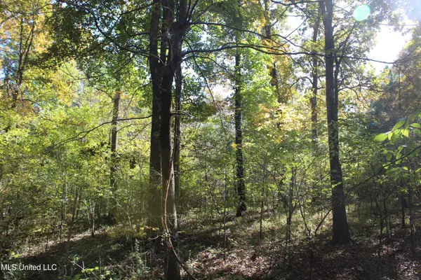 74 Cutter Cove, Byhalia, MS 38611