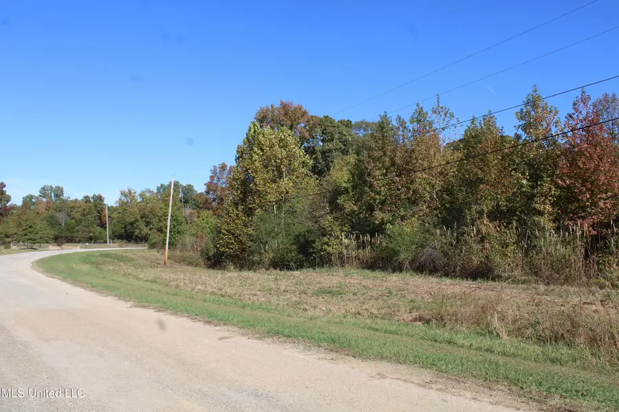 74 Cutter Cove, Byhalia, MS 38611 - Image #2