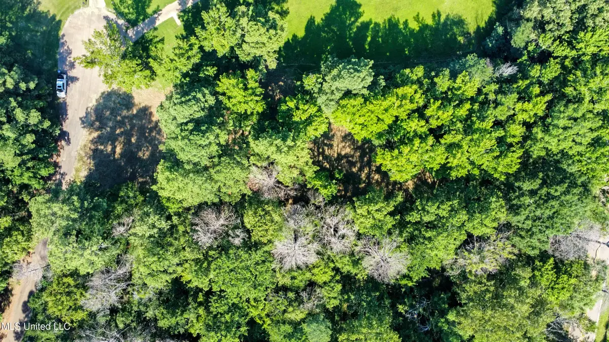 0 Lakeridge Cove, Clinton, MS 39056 - Image #1