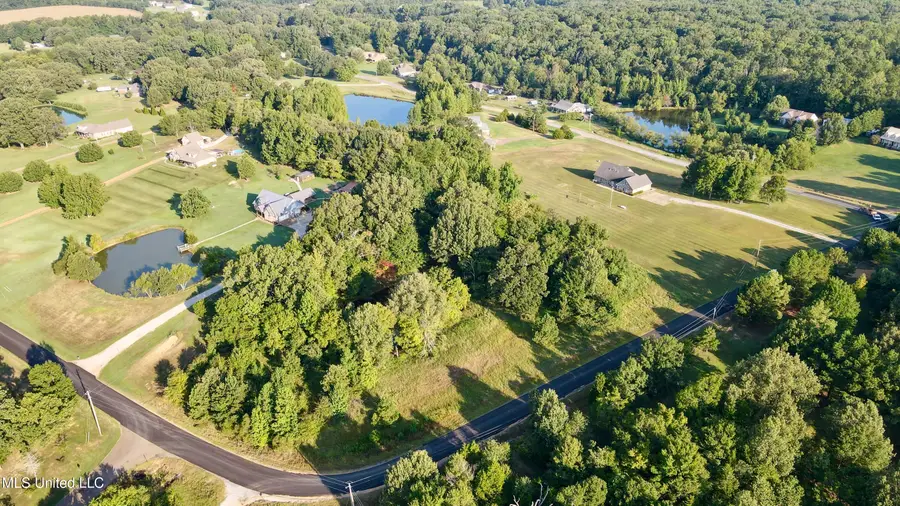 38 Golden Pond Circle, Coldwater, MS 38618 - Image #2