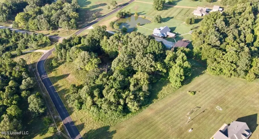 38 Golden Pond Circle, Coldwater, MS 38618 - Image #3