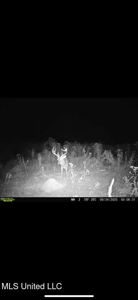 Highway 12, Tchula, MS 39169 - Image #1