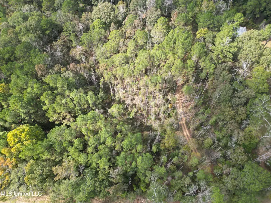 503 S Hwy 13, Mendenhall, MS 39114 - Image #3