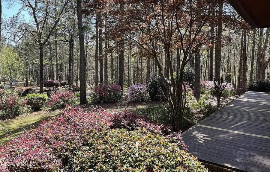 119 Billy Cochran Drive, Waynesboro, MS 39367 - Image #3