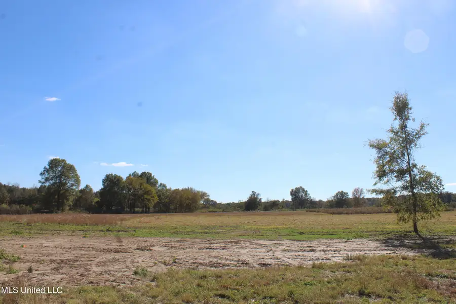 42 Pin Oak Road, Michigan City, MS 38647 - Image #2