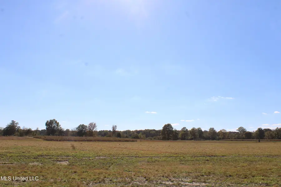 42 Pin Oak Road, Michigan City, MS 38647 - Image #3