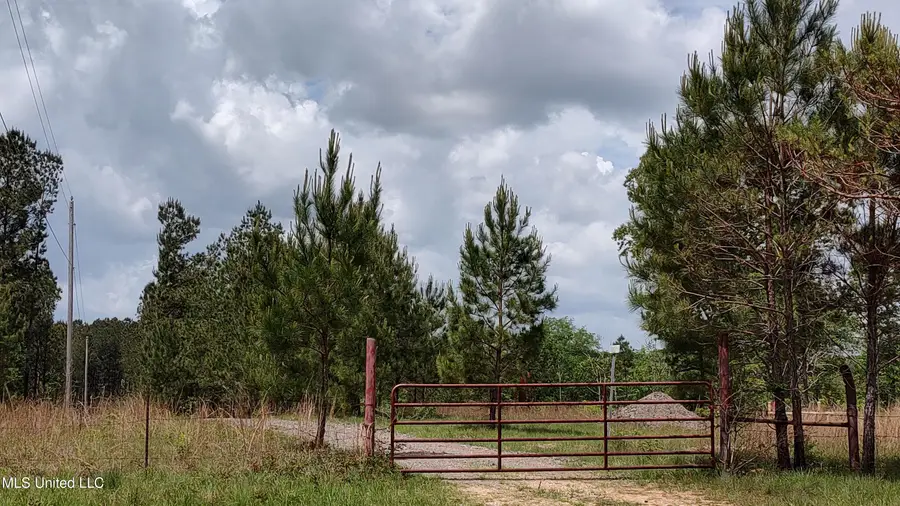 110 Rosenbaum Drive, Poplarville, MS 39470 - Image #3