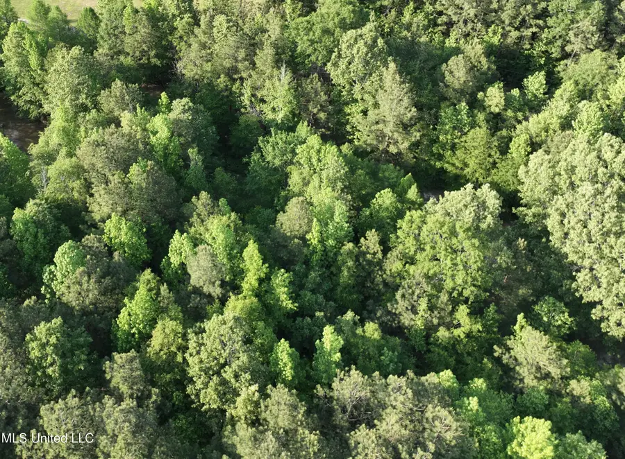 00 Holly Bush Road, Pelahatchie, MS 39145 - Image #2