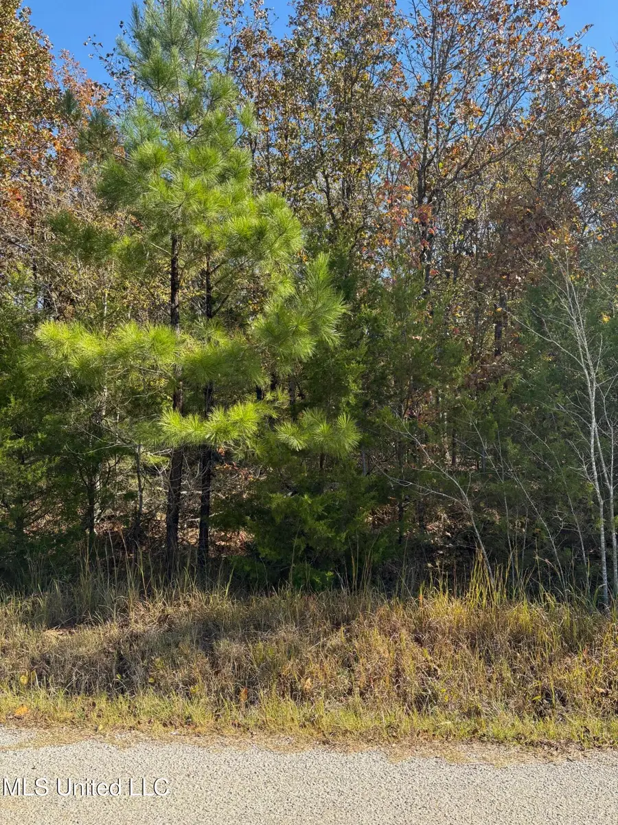 139 David Cove, Byhalia, MS 38611 - Image #2