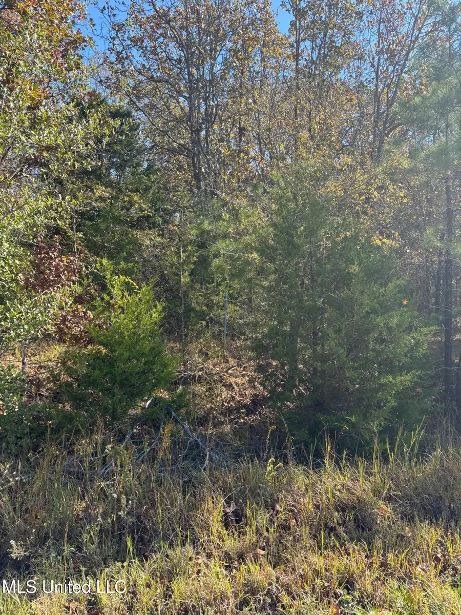 139 David Cove, Byhalia, MS 38611 - Image #3