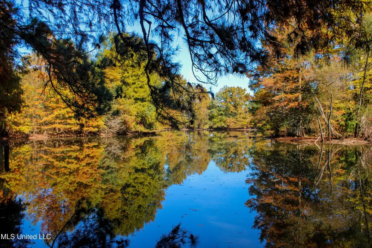 636 Livingston Vernon Road, Flora, MS 39071 - Image #1