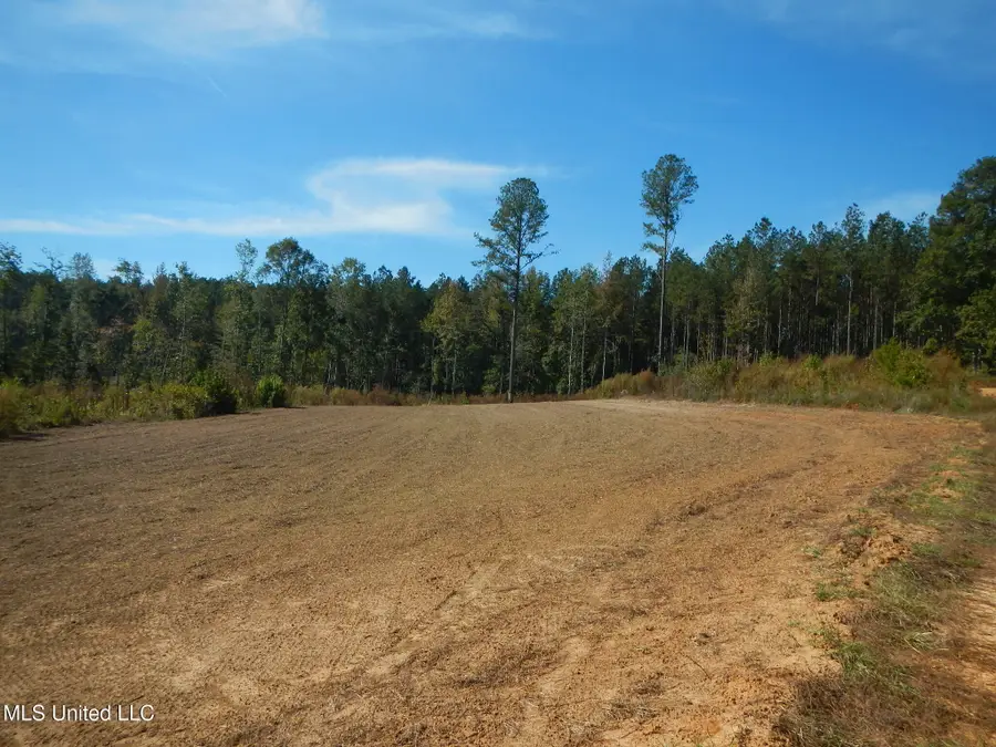 Causeyville Road, Meridian, MS 39301 - Image #2