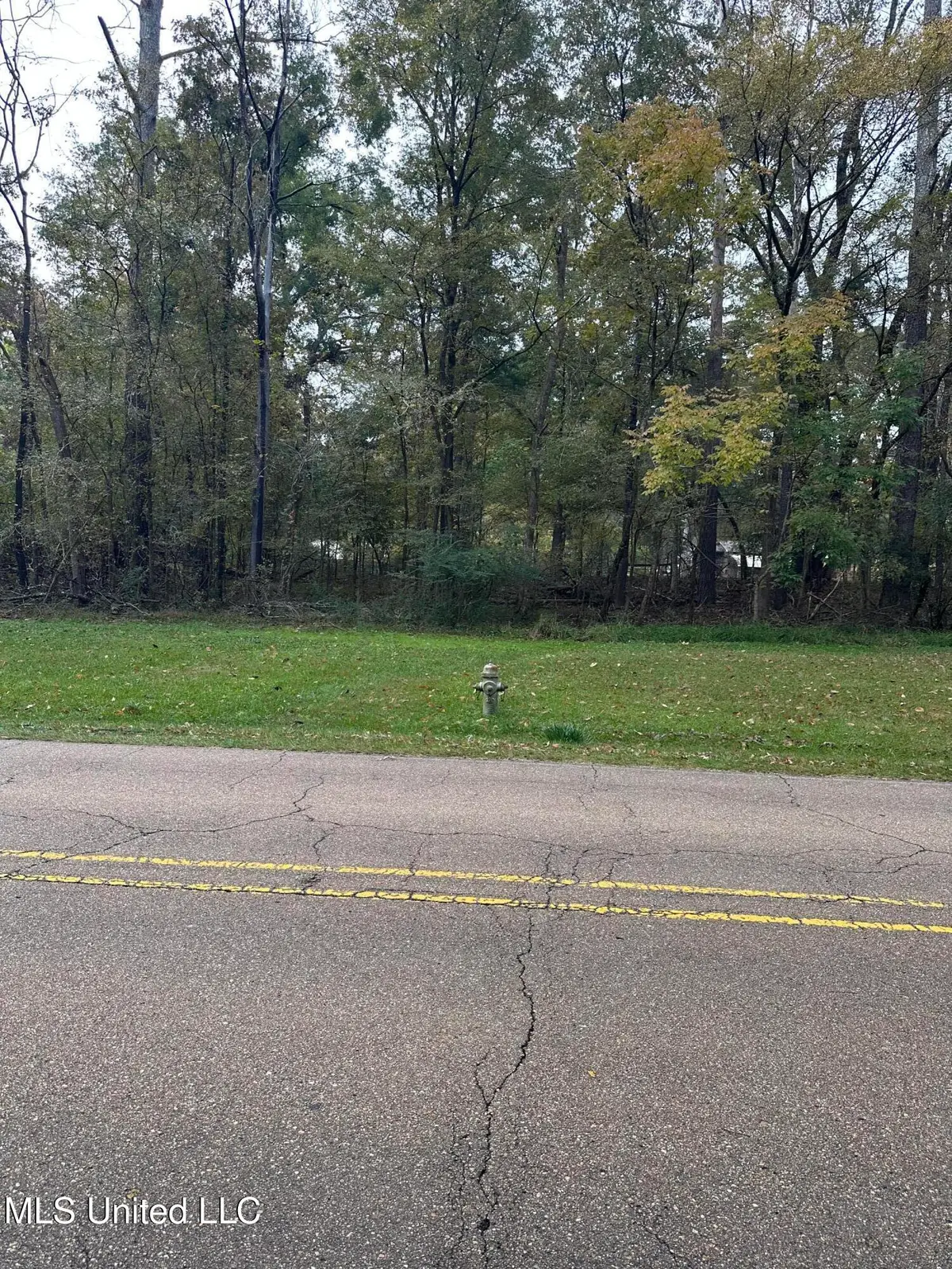 Mcraven Road, Clinton, MS 39056 - Image #1