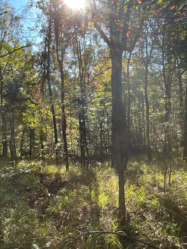 Co Rd 53, Carrollton, MS 38917