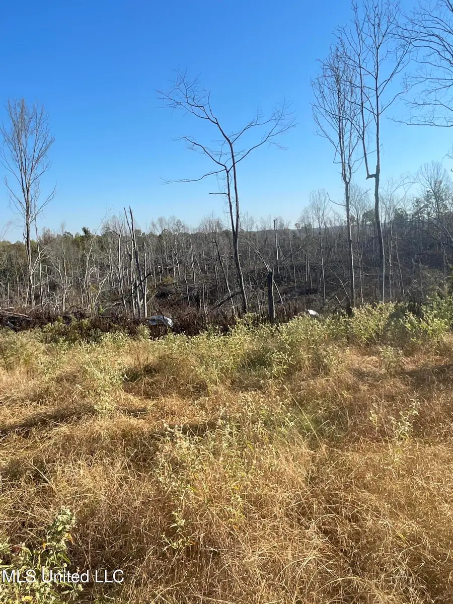 Co Rd 53, Carrollton, MS 38917 - Image #2