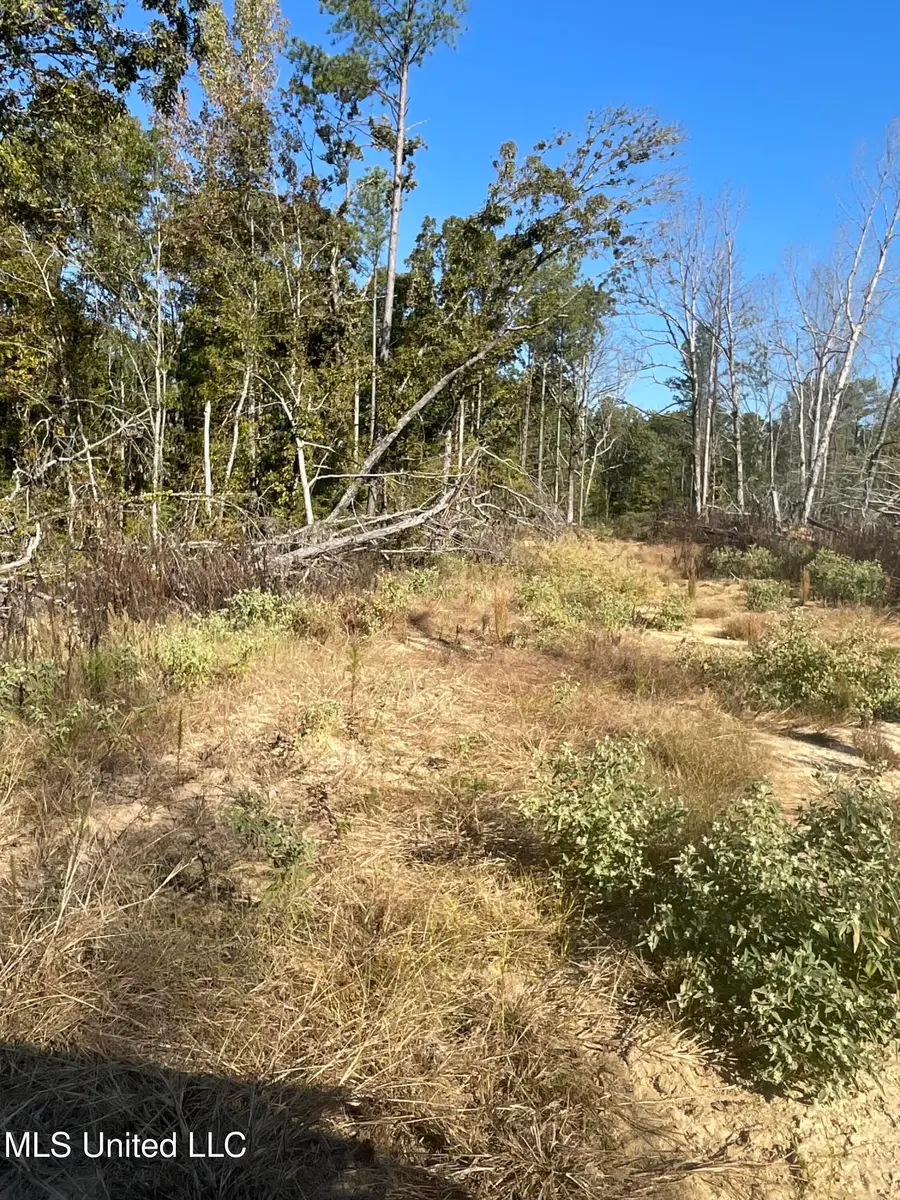 Co Rd 53, Carrollton, MS 38917 - Image #3