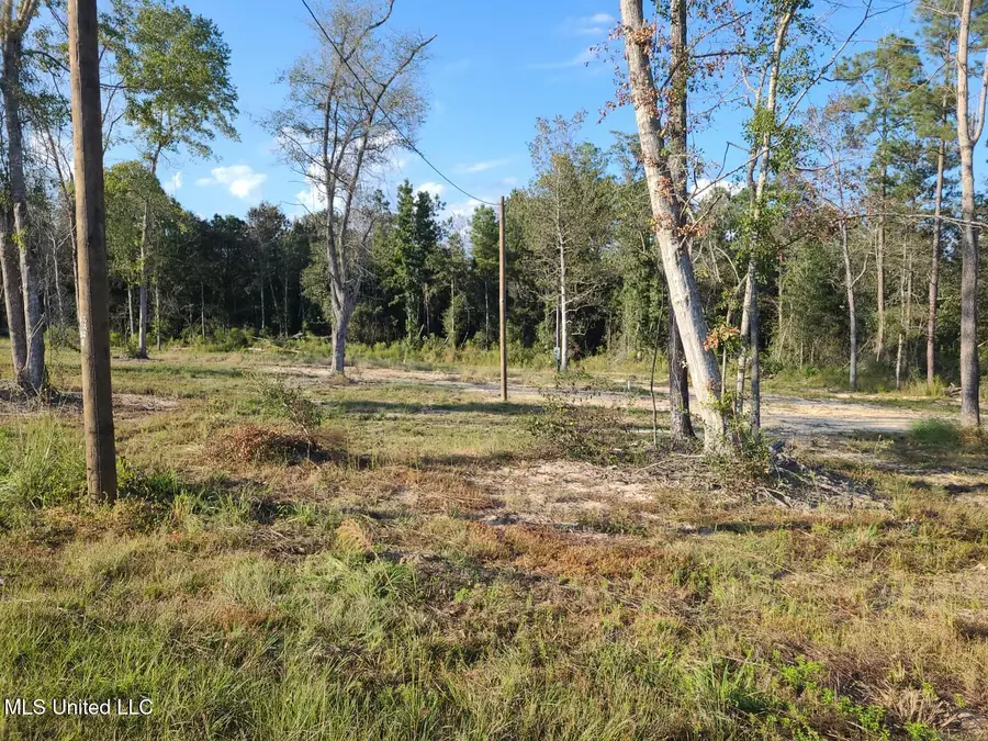 2 Silver Run Road, Poplarville, MS 39470 - Image #3