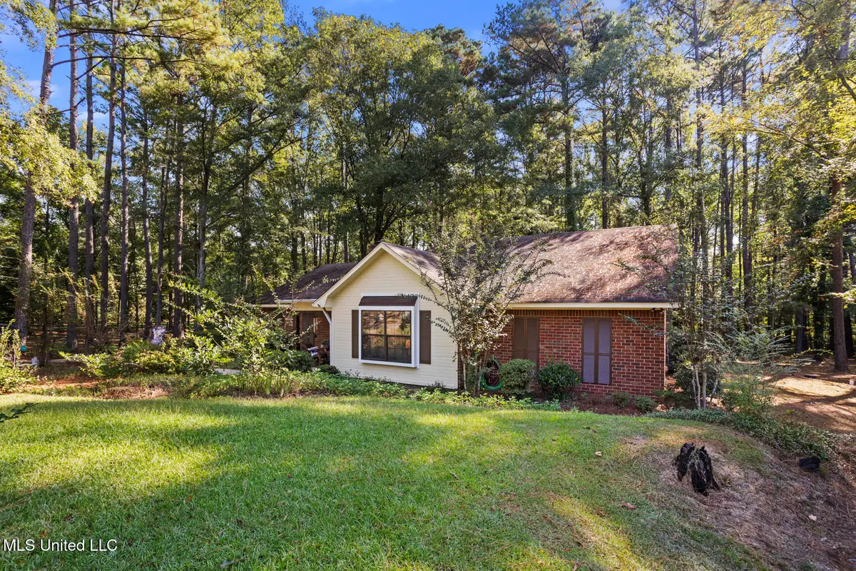 4201 Oak Hill Drive, Terry, MS 39170 - Image #1