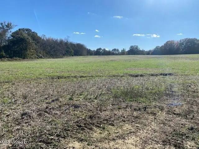 Highway 306, Coldwater, MS 38618 - Image #2