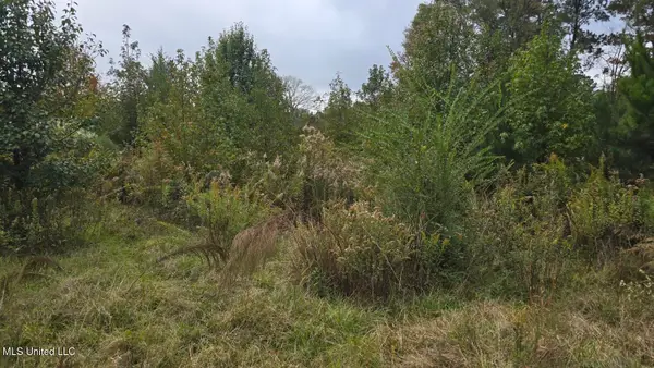 2077 W County Line Road, Summit, MS 39666