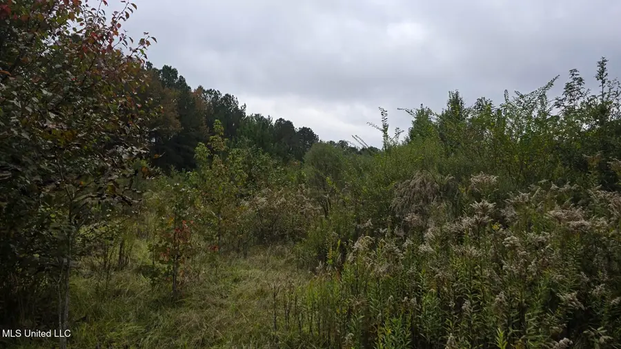 2077 W County Line Road, Summit, MS 39666 - Image #2