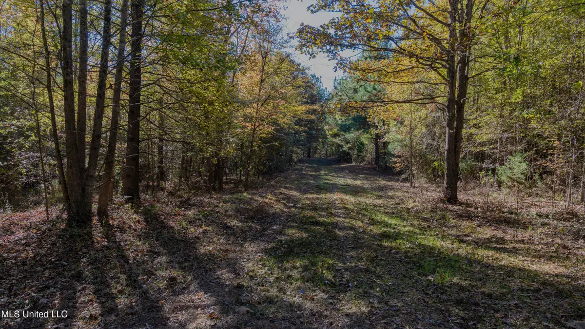 16098 Emory Rd, West, MS 39192 - Image #1