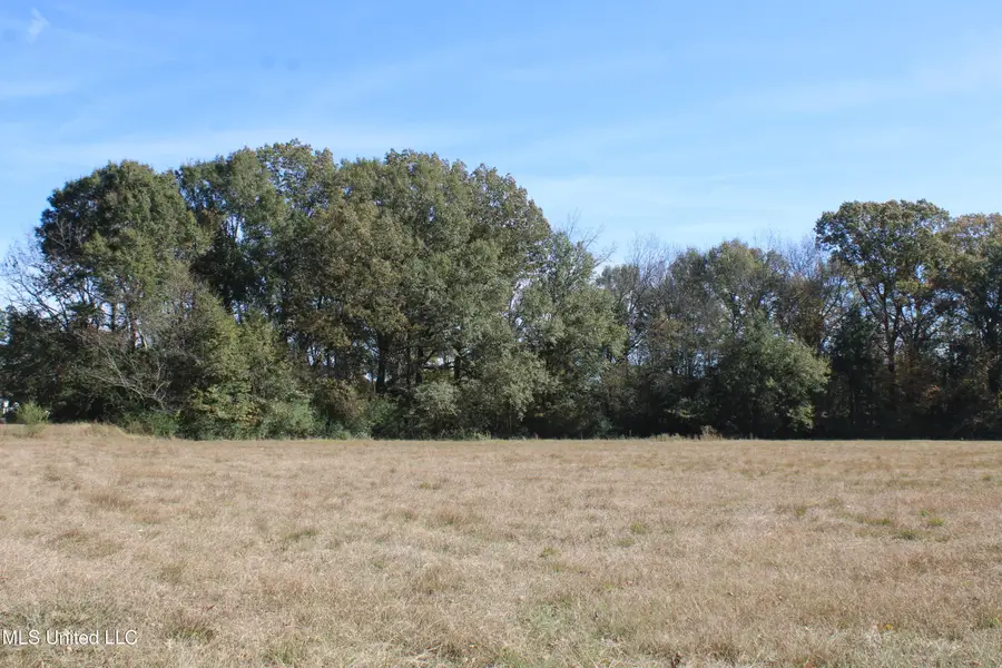 12000 Center Hill Road, Olive Branch, MS 38654 - Image #2