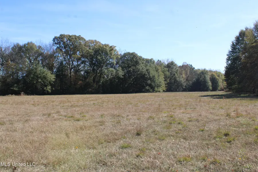 12000 Center Hill Road, Olive Branch, MS 38654 - Image #3