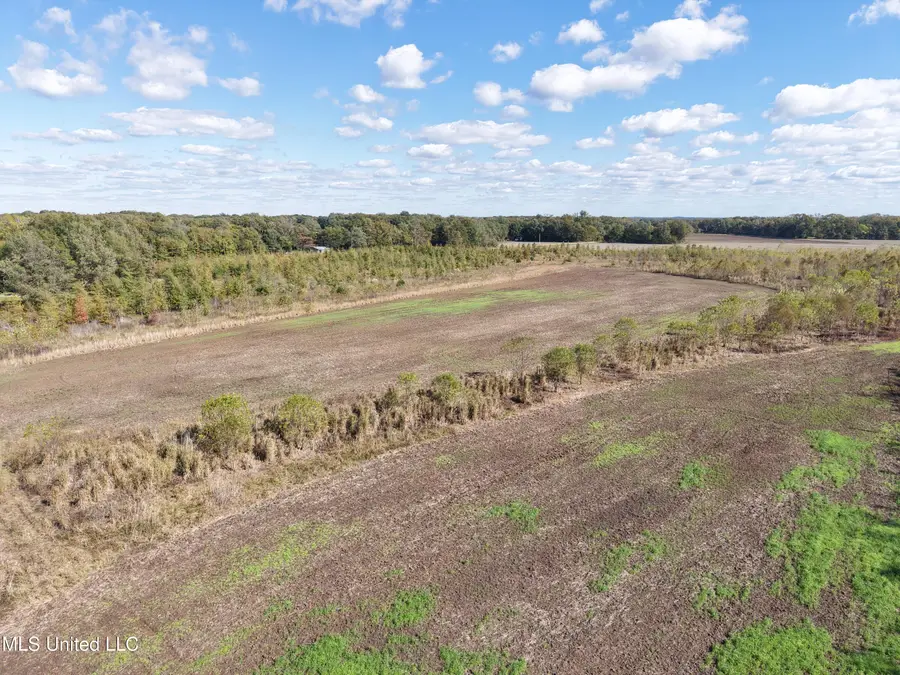 Walnut Lake Road, Dundee, MS 38626 - Image #3