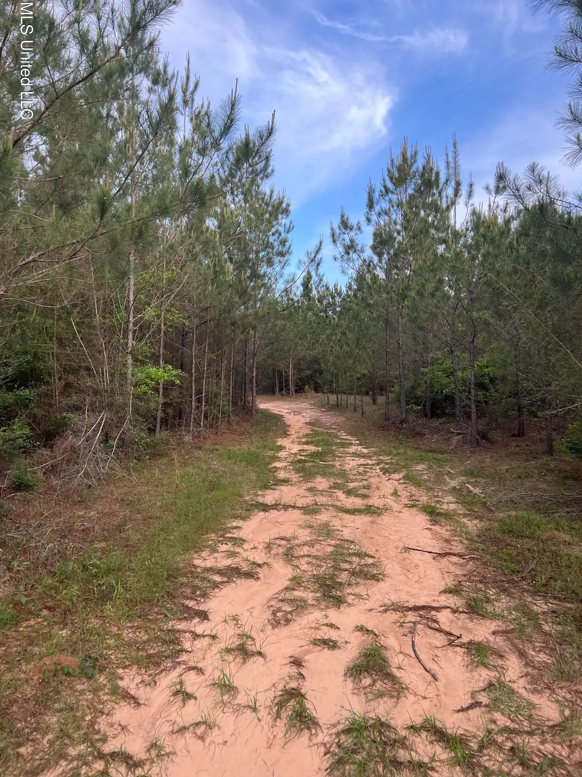 Co Rd 230, Shubuta, MS 39360 - Image #1