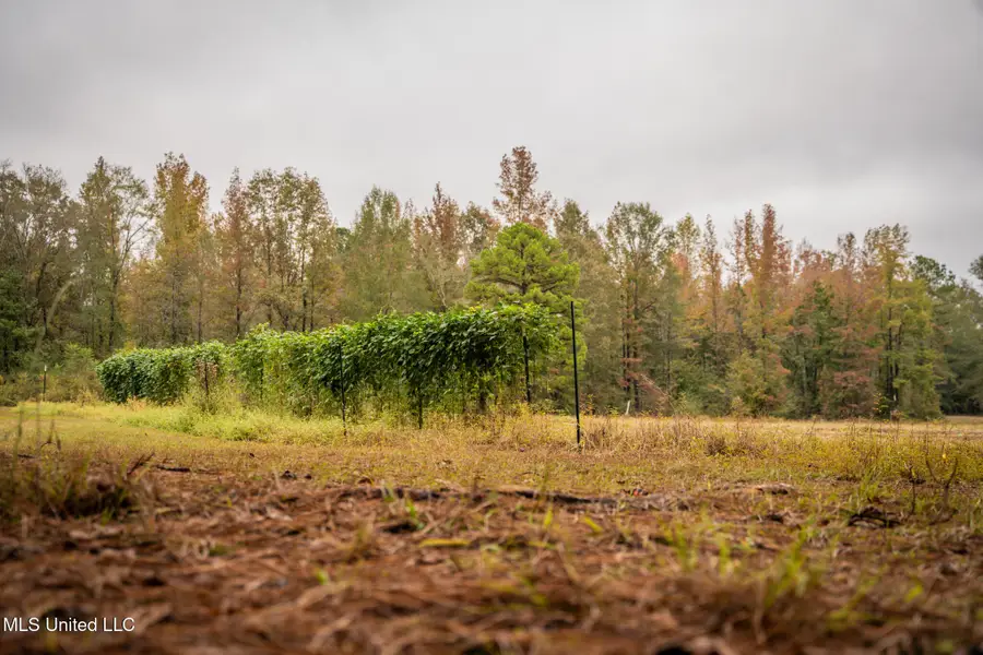 Chisolm Cemetary Road, De Kalb, MS 39328 - Image #3