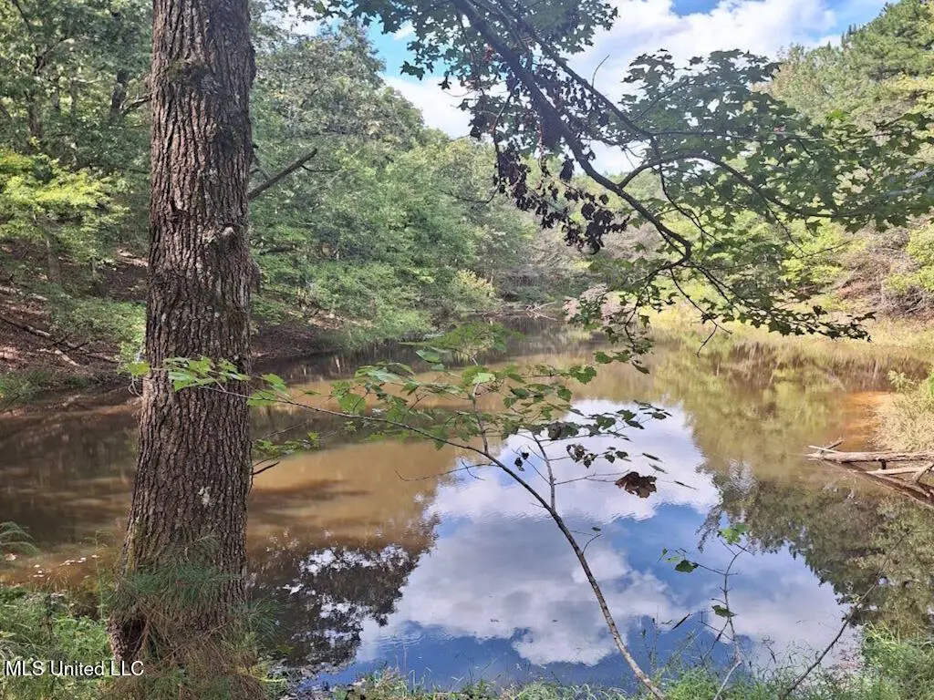 1788 County Road, Water Valley, MS 38965 - Image #1