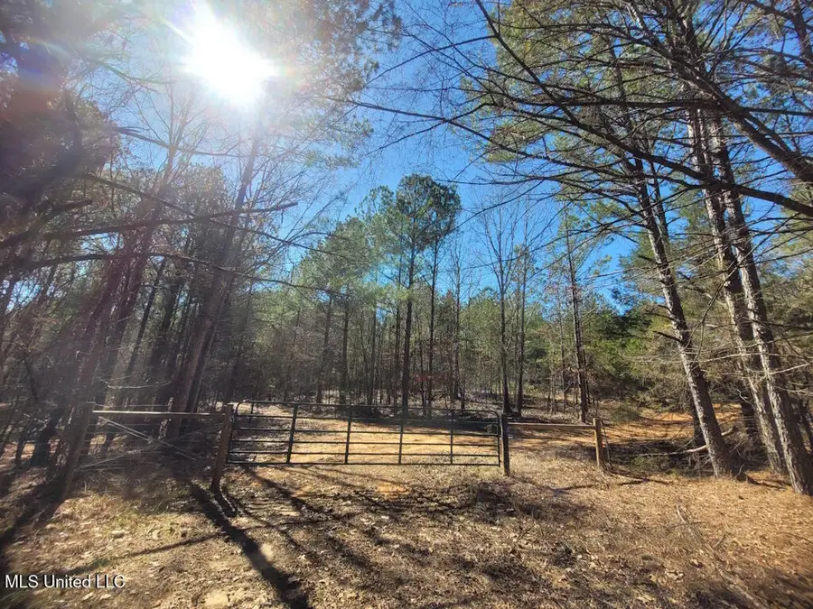 1788 County Road, Water Valley, MS 38965 - Image #2