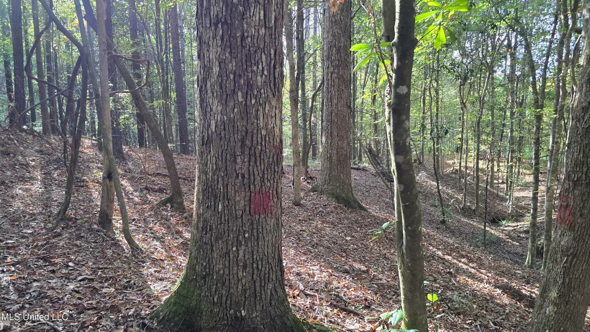 1404 Causey Road, Meadville, MS 39653 - Image #1