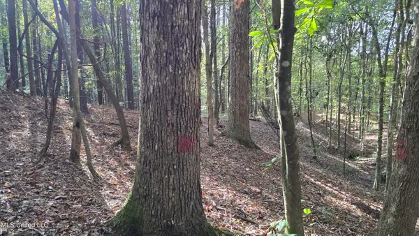 1404 Causey Road, Meadville, MS 39653