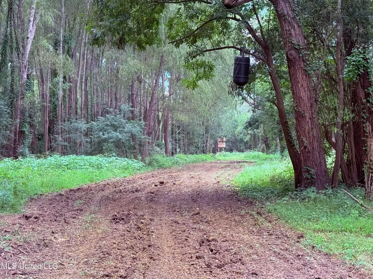 Bourke Road, Natchez, MS 39120 - Image #1