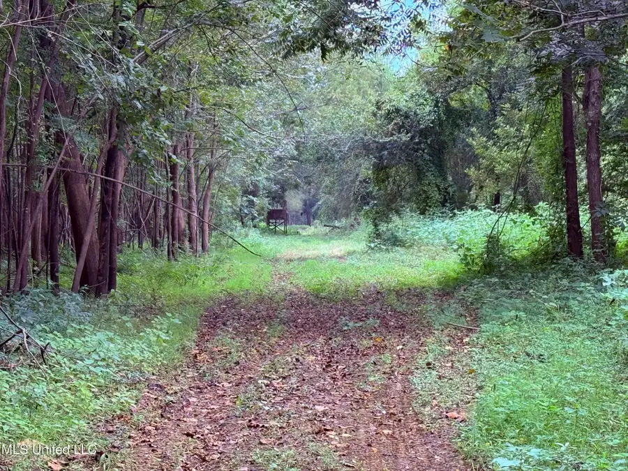 Bourke Road, Natchez, MS 39120 - Image #3